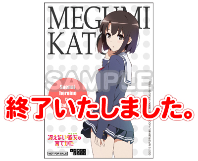 http://www.noitamina-shop.com/image/tokuten/saenai_ccd_bro_megu.jpg