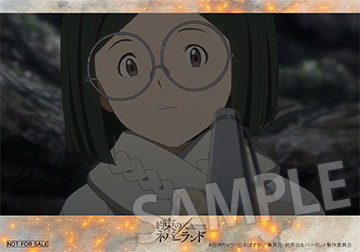 ブロマイド