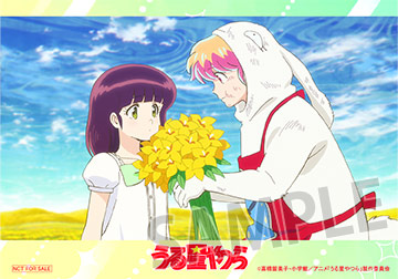 ブロマイド