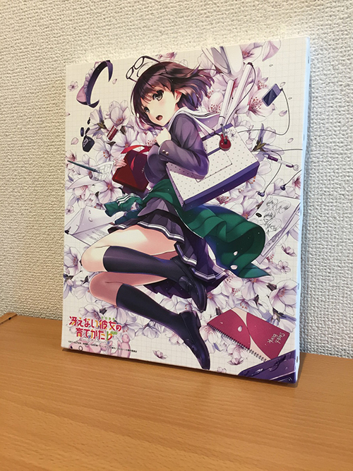 冴えない彼女の育てかた 冴えない彼女の育てかた キャンバスアート 加藤恵 ノイタミナショップ 公式サイトノイタミナ オンラインショップ